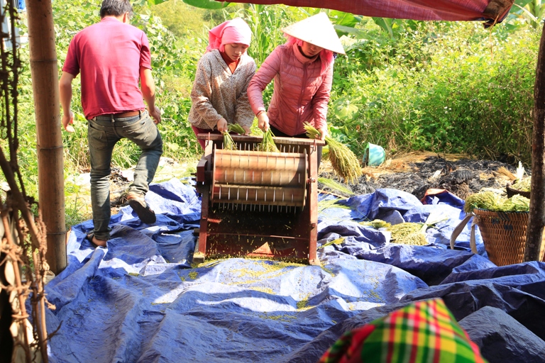 Trekking in Nghia Lo - Northwest Vietnam