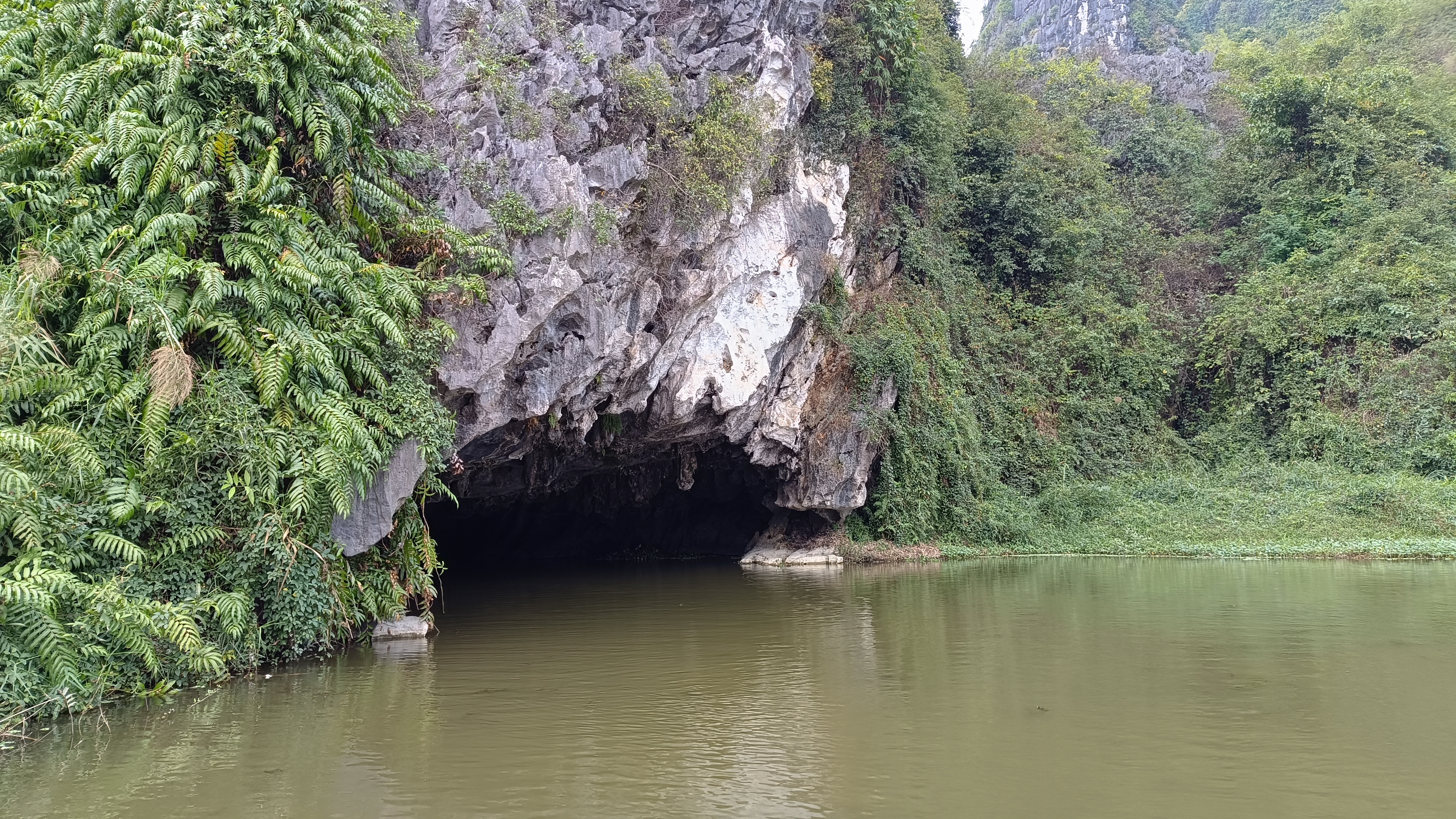 Van Long, Ninh Binh, Halong Bay land, Tam Coc, Bich Dong, Trang An, what to do in Van Long, Van Long Lagoon, Van Long Nature Reserve, how to get to Van Long, what things to do in Van Long, Delacour langurs, accommodation in Van Long, hotels in Van Long