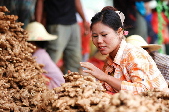 vietnamese spices ginger