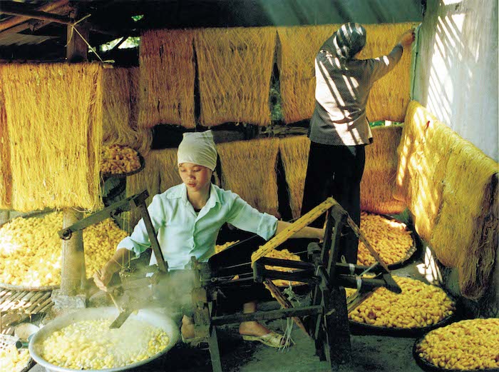 Vietnamese women perform the reeling process with the help of a reeling machine