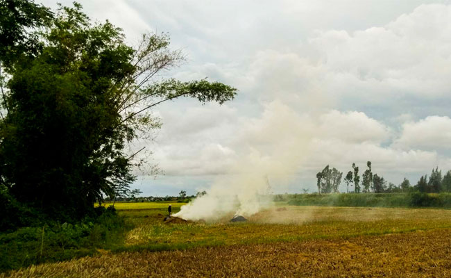 visit-hoian-visit-kimbong-village-rice field