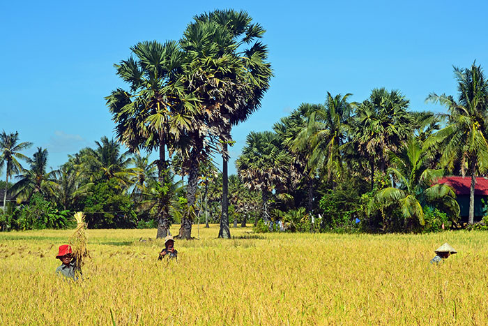 climate of Cambodia, travel to Cambodia, go to Cambodia, Mekong