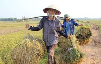 Dien Bien Phu - Muong Lay - Lai Chau (B/L/D)