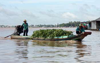 Tra Vinh - Sa Dec - Long Xuyen (B/L/-)