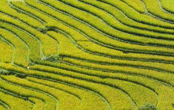 Lai Chau - Na Tam - Sapa (B/L/-)