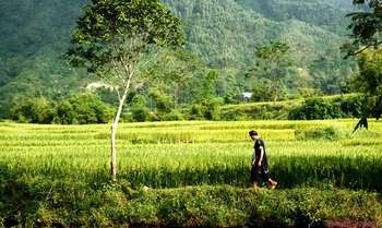 Mu Cang Chai - Than Uyen - Na Tam - Sapa (B/L/-)