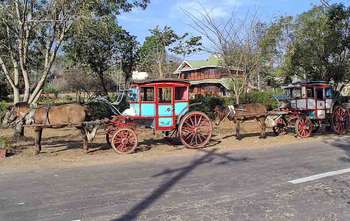 Pyin Oo Lwin tour - Mandalay (B/-/-)