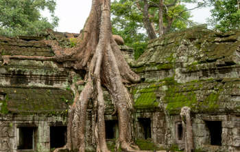 Siem Reap â€“ Angkor Thom â€“ Taprohm â€“ Angkor Wat (B/L/-) 
