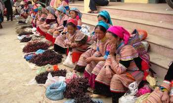 Sapa - Bac Ha (B/L/-)