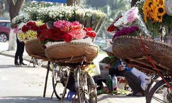 Hanoi full day city tour (B/L/-)