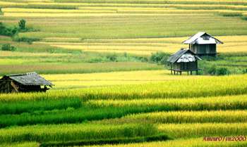 Hanoi - Ha Giang (B/L/D)