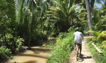 Ben Tre - Cho Lach - Tra Vinh (B/L/D) 