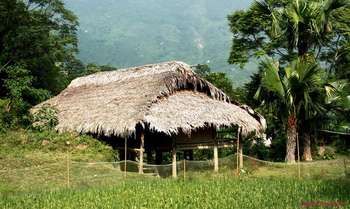 Hanoi - Mai Chau (B/L/D)