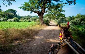 Bagan – Fly to Mandalay – Sagaing – excursion to Inwa – Amarapura (B/-/-)