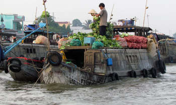 Saigon - Cai Be - visit traditional villages - Can Tho - overnight in Can Tho (B/L/-)