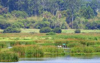 Ho Chi Minh City - Nam Cat Tien National Park (B/-/-)