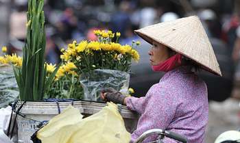 Hanoi full day city tour (B/L/-)