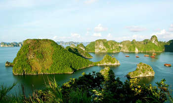 Ninh Binh - Halong (B/L/D)