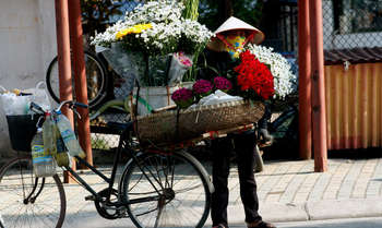Hanoi arrival - walking tour ( 2km) (D)