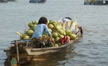 Mekong Delta Exploration to Can Tho (B/-/-)