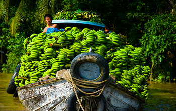 Saigon - Mekong (Ben Tre) - Saigon (B/L/-)