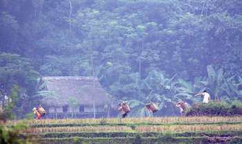 Hanoi - Mai Chau (B/L/D)