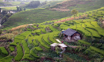 Trekking Sapa - Cat Cat - Y Linh Ho - Lao Chai - Ta Van village - Sapa (B/L/-)