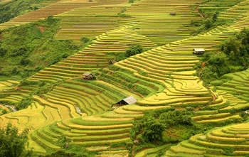 Sapa Discovery - Night train to Hanoi (B/-/-)