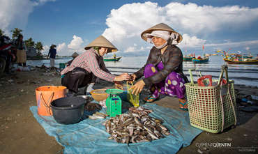 Vietnam Discovery