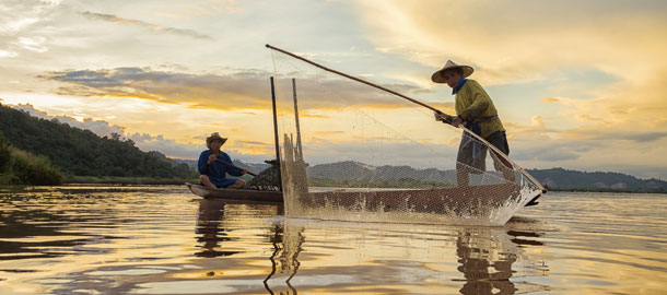 Northern Nature and Culture Beauties