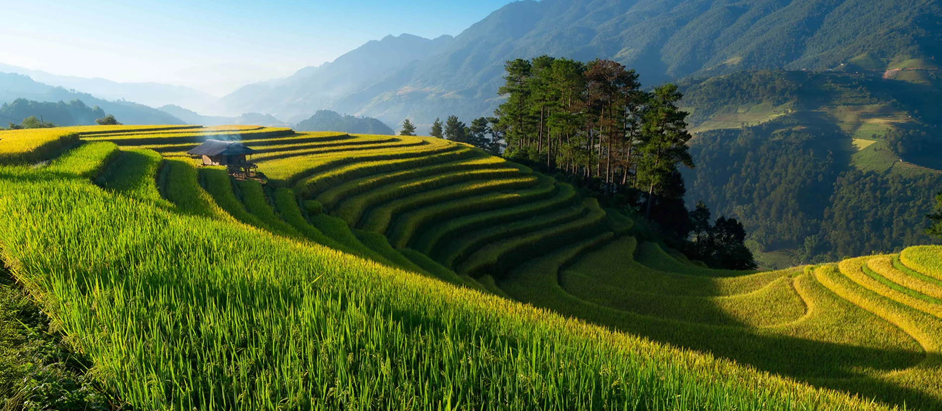 Tailor made private tours