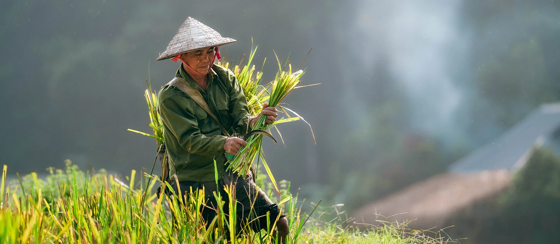 Tailor made private tours