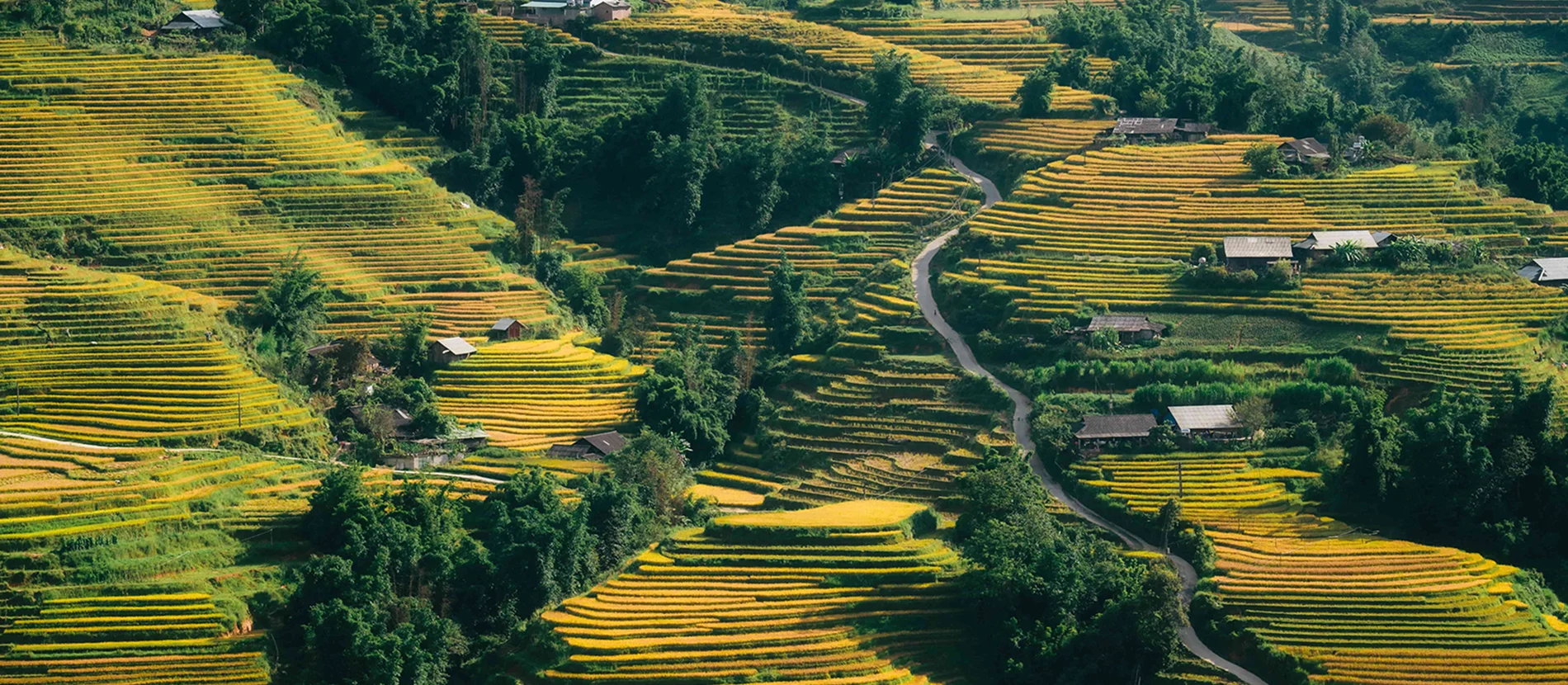 Tailor made private tours